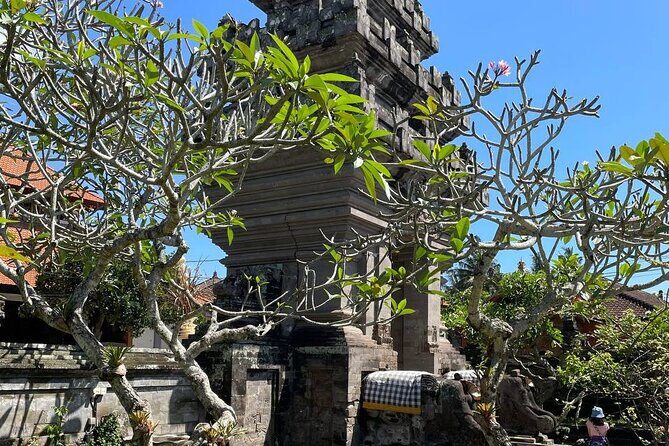 Ubud Tour - Highlight of Ubud - Traditional Tour - What’s Included vs. What You’ll Pay Separately