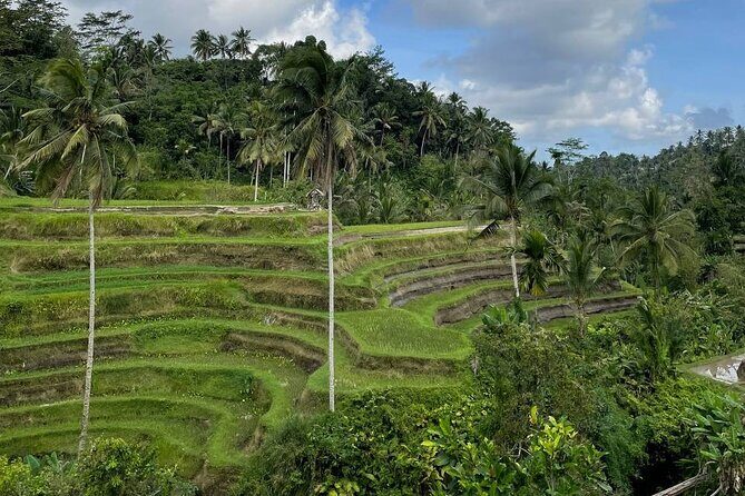 Ubud Tour - Highlight of Ubud - Traditional Tour - Stop 1: Puseh Batuan Temple and How to Get More Out of It