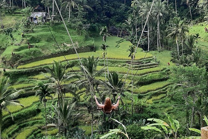 Ubud Tour - Highlights of Ubud - Price and What’s Included in the $100 Ubud Day