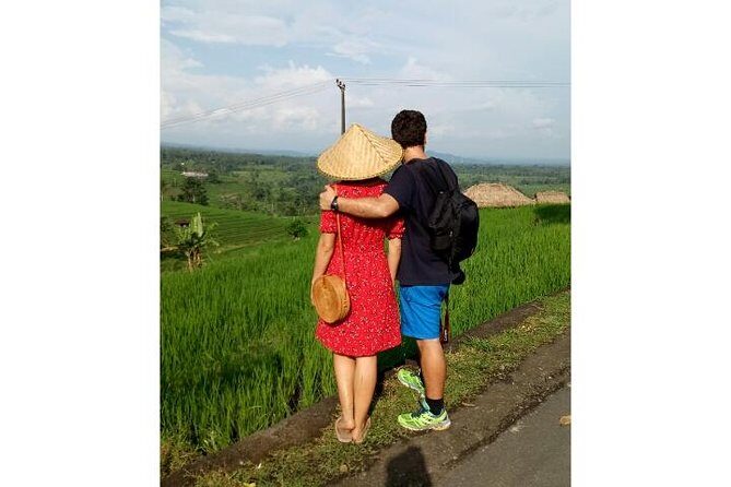 Ubud Tour Monkey Forest, Rice Terrace, Swing, Temple, Waterfall - Seminyak pickup and how a private car makes the day easier