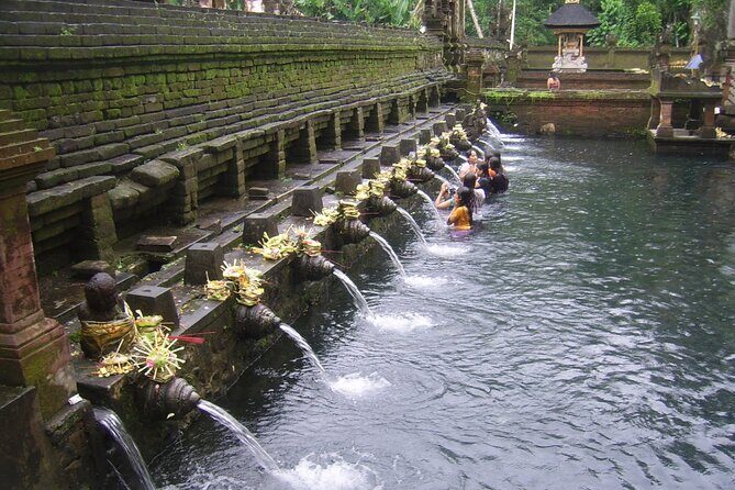 Ubud Tour : Monkey forest, Rice terrace, Water temple, Waterfall & Jungle Swing - Sacred Monkey Forest Sanctuary: what to do around the macaques