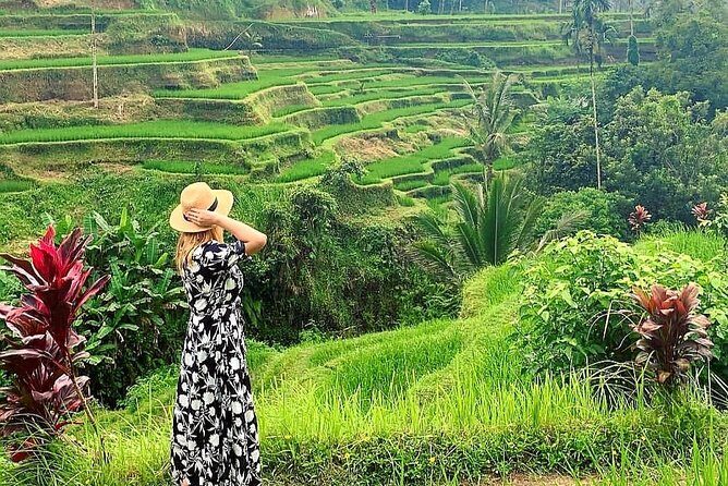 Ubud Tour - Ubud Highlight - Private Tour All inclusive - Sacred Monkey Forest: fun, but keep your distance and your stuff