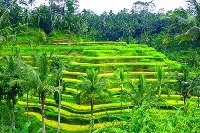 Ubud Tour Water Temple with Jungle Swing - Tirta Empul: Hindu purification springs with a 962 AD story