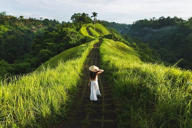 Ubud Tour with all includes - Tegalalang: UNESCO Rice Terrace Swing and Your Best Picture Time
