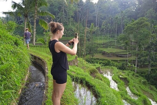 Ubud Tour with all includes - Pickup, Private Transport, and the Driver Factor (The Part You Remember)