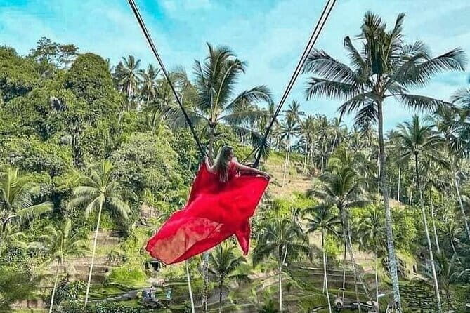 Ubud Tour with all includes - Tegenungan Waterfall: Green Views, Walk-Down Options, and Possible Swim Time
