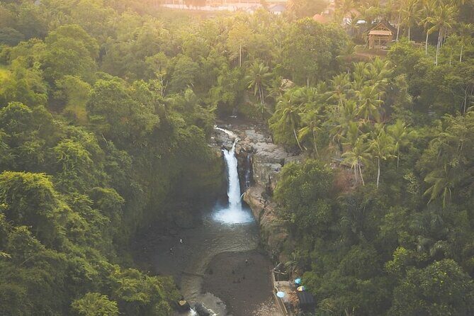 Ubud Tour with Jungle Swing and Waterfall Water Temple - Why This Ubud Tour Feels Like Two Different Kinds of Beauty