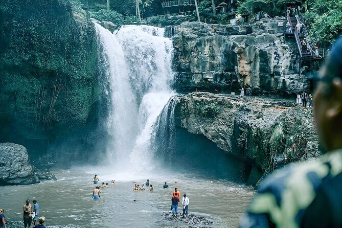 Ubud Tour with Jungle Swing and Waterfall Water Temple - Real Bali Swing: The High Point (Literally) for Photos and Adrenaline