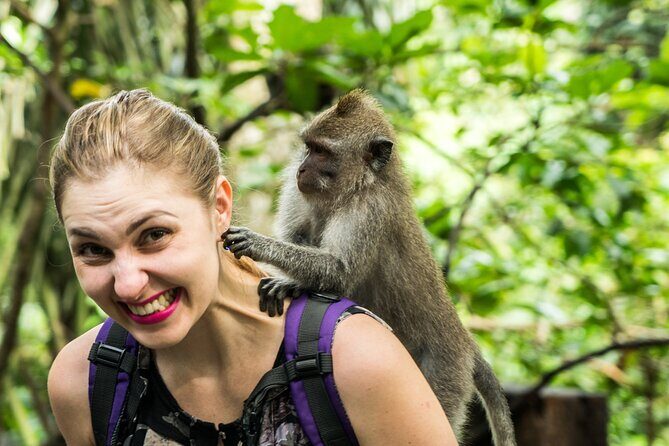 Ubud Tour with Swing, Temple, Monkey Forest, and Waterfall - Tegalalang Rice Terrace: start with the big views