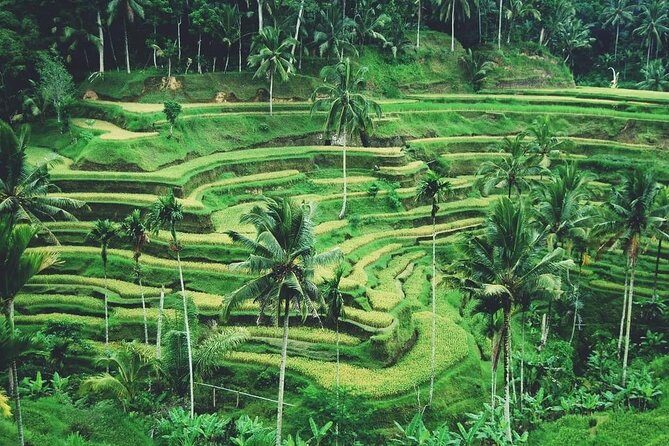 Ubud Trip, The Best of Ubud in a day - All Inclusive - Batuan village: traditional compounds, wood carving, and painting