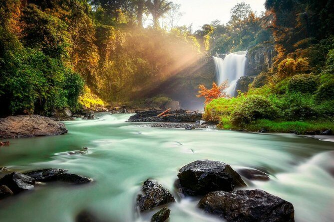 Ubud Village Sightseeing, Famous Paddy Field And Ubud Waterfall - Pickup From Seminyak and the 8–9 Hour Flow