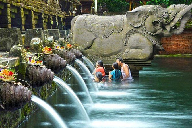 Ubud Village Sightseeing, Famous Paddy Field And Ubud Waterfall - Pulina Bali Coffee Plantation: A Short Demo With Big Scenery