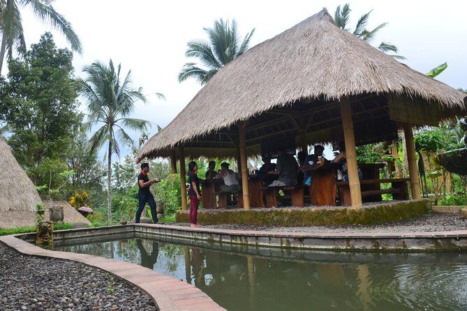 Ubud Village Sightseeing, Famous Paddy Field And Ubud Waterfall - Tirta Empul Temple: The Holy Spring and Why It Feels Different
