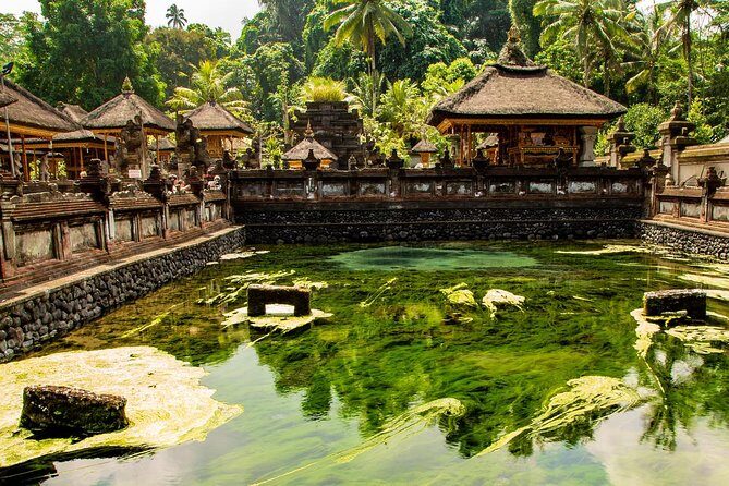 Ubud Village Sightseeing, Famous Paddy Field And Ubud Waterfall - Tegalalang Rice Terrace: The View, the Walks, and the Shop Strip