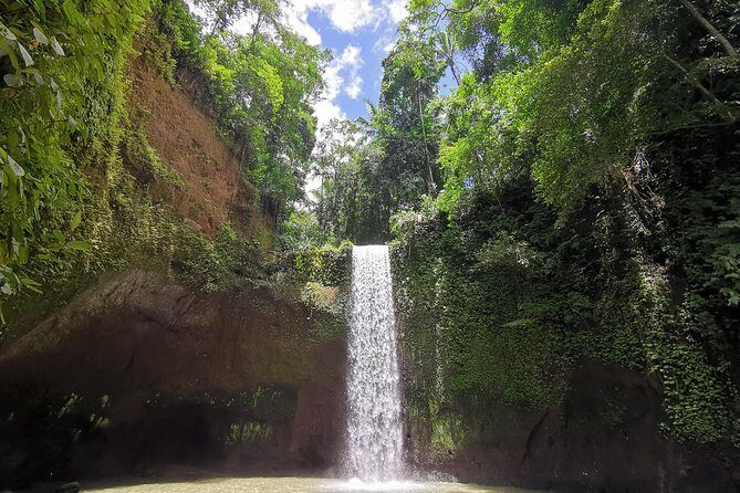 Ubud Village, Tegalalang Rice Terrace Swing, Tirta Empul Temple and Waterfafall - Campuhan Ridge Walk: Ubud’s Two-River Story on Foot