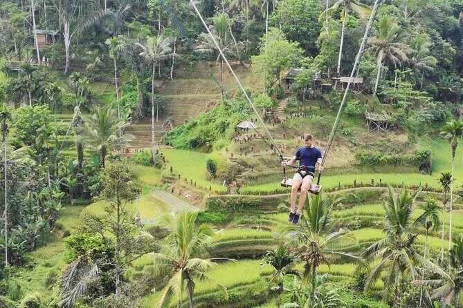 Ubud Village, Tegalalang Rice Terrace Swing, Tirta Empul Temple and Waterfafall - Price and Value: Is $32.24 Per Person Fair?