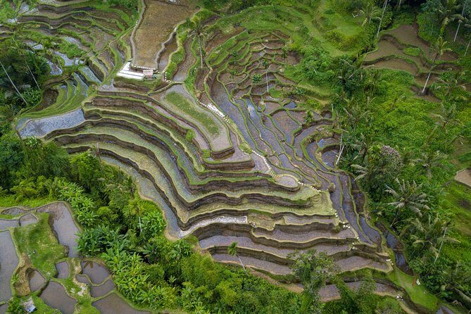 Ubud Volcano Lake and Natural Hot Spring Tour - Tegenungan Waterfall: a final rush of fresh mountain water