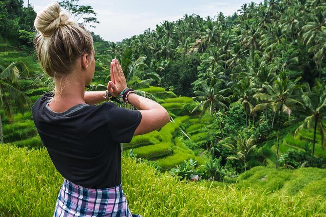 Ubud Volcano Lake and Natural Hot Spring Tour - The Tegalalang Rice Terrace stop: time for the best angles