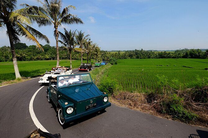 Ubud VW Safari Bali Tour - Volkswagen Classic Car Trip - Quick take: why this VW Safari tour is worth your time