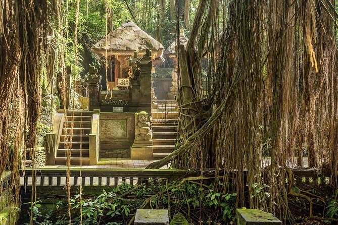 Ubud: Waterfall, Rice Terraces, and Monkey Forest Private Tour - Tegenungan Waterfall: When the Water Looks Best