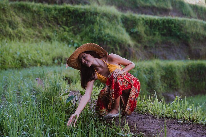 Ubud: Waterfall, Rice Terraces, and Monkey Forest Private Tour - What You’re Really Paying For at $65