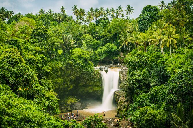 Ubud waterfall, rice terraces, and swing explore - Price and value: what’s included, what costs extra
