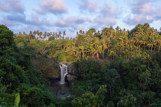Ubud waterfall, rice terraces, and swing explore - Pacing, crowds, and what to pack for comfort