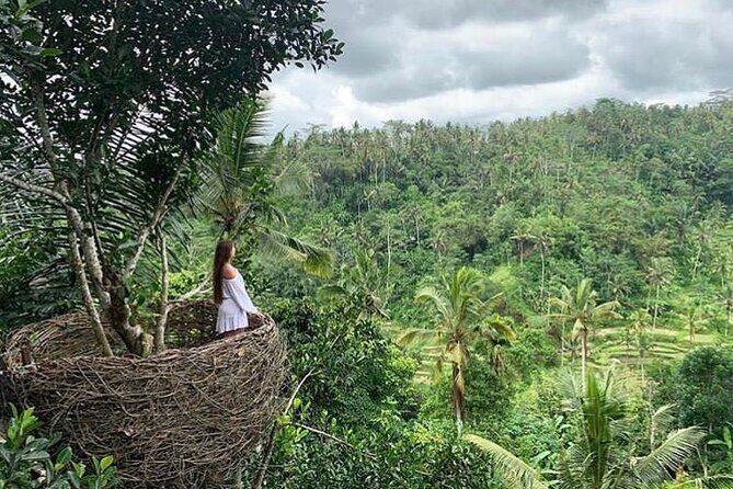 Ubud waterfall, rice terraces, and swing explore - Who should book this Ubud waterfall, terraces, and swing combo