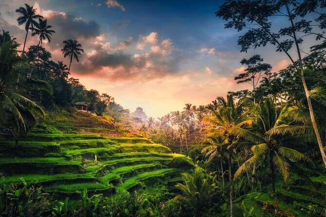 Ubud waterfall, rice terraces, and swing explore - Stop 2: Tegalalang rice terraces and classic Ubud views