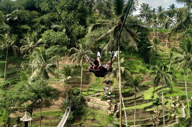 Ubud Waterfall Swing And Spring Temple Private Guided Tour - Stop 2: Sacred Monkey Forest Sanctuary in Ubud