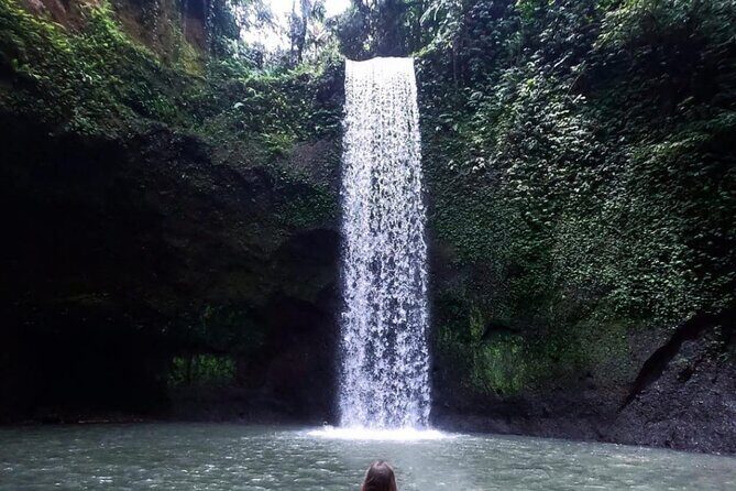 Ubud Waterfalls, Rice Terrace & Jungle Swing - Private Tour - Key Points to Know Before You Go