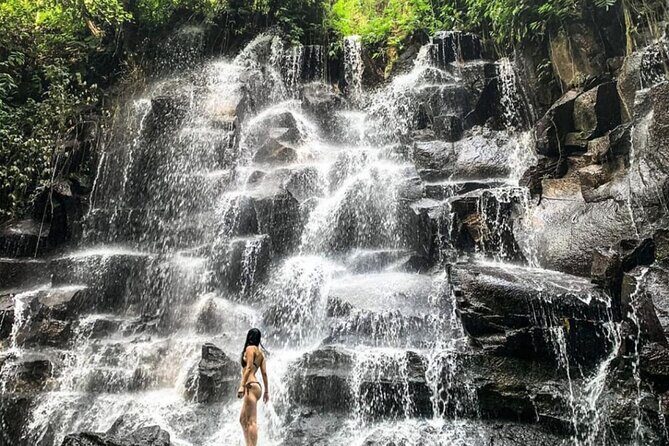 Ubud Waterfalls, Rice Terrace & Jungle Swing - Private Tour - Why This Ubud Waterfalls Day Tour Feels Worth It