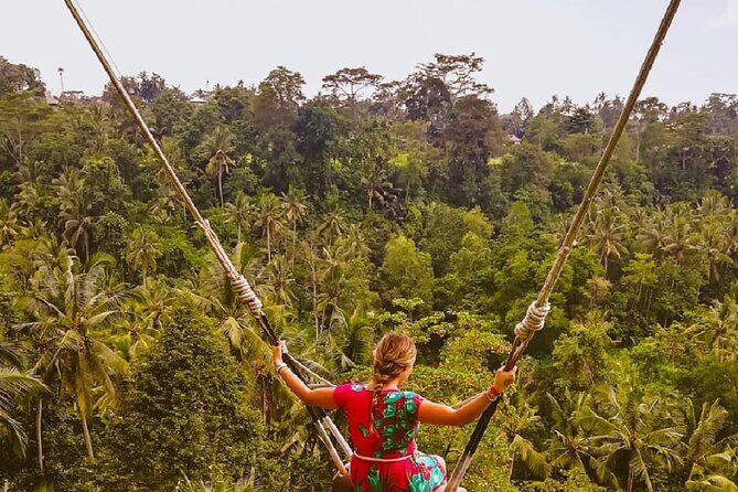 Ubud Waterfalls, Rice Terrace & Jungle Swing - Private Tour - Stop 4: Tegalalang Rice Terrace and the Swing Photo Option