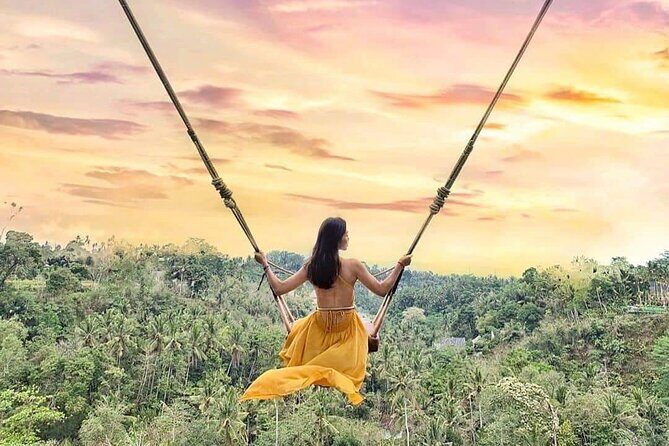 Ubud Waterfalls, Rice Terrace & Jungle Swing - Private Tour - What the Included Price Really Covers (and What It Doesn’t)