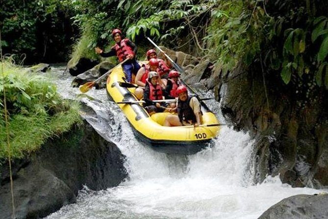Ubud White Water Rafting on the Ayung River with Pickup & Lunch - Key things I’d watch for before you go
