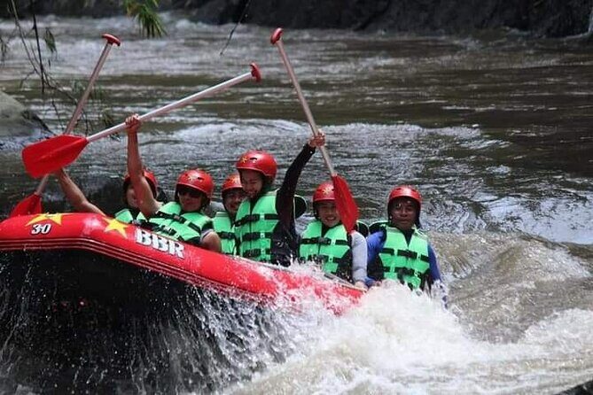 Ubud White Water Rafting on the Ayung River with Pickup & Lunch - Group size, pacing, and who this fits best