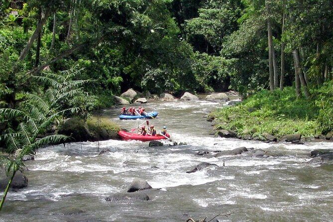 Ubud White Water Rafting with Waterfall and Lunch - The rafting part: rapids, waterfalls, and swim breaks