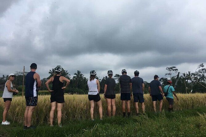 Ubud Wonderful Half Day Downhill Cycling Tour with Lunch - Manukaya downhill riding: rural roads at a comfortable pace