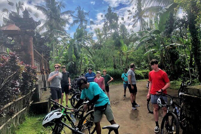 Ubud Wonderful Half Day Downhill Cycling Tour with Lunch - Rice fields, a local home, and a temple visit