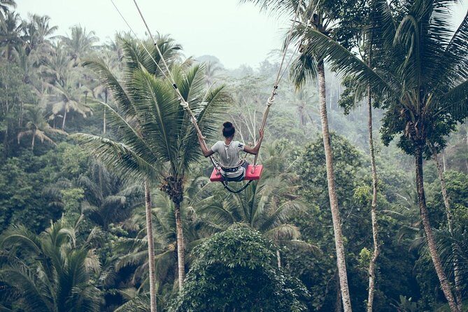 Ultimate Ubud - Pickup and Timing: The Real Secret to a Smooth Ubud Schedule