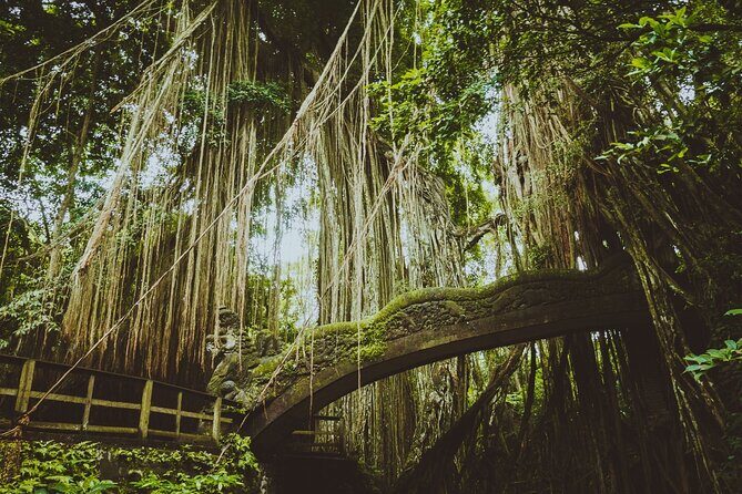 Ultimate Ubud Experience All Inclusive Private Day Tour - Why this Ubud day feels worth the money