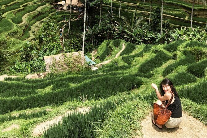 Ultimate Ubud Experience All Inclusive Private Day Tour - Ubud Palace and Tirta Empul: what’s in the description vs the timed stops