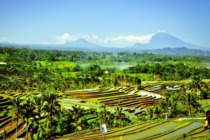 UNESCO Jatiluwih Rice Terrace and Tanah Lot Sunset Tour - Stop 2: Handara Iconic Gate for the Signature Bali Photo
