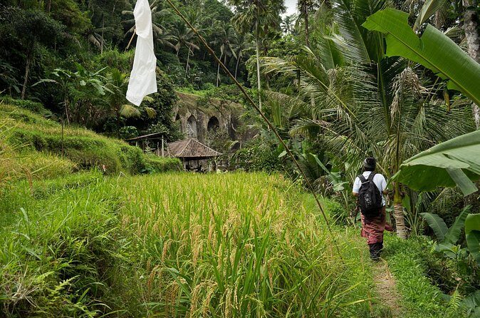 UNESCO Sites Cultural Walking Tour in Bali - Tirta Empul Purification Ritual: Start With Meaning