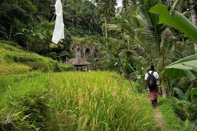 UNESCO Sites Cultural Walking Tour in Bali - Friends in Bali: Breakfast, Lunch, and a Breather From Walking