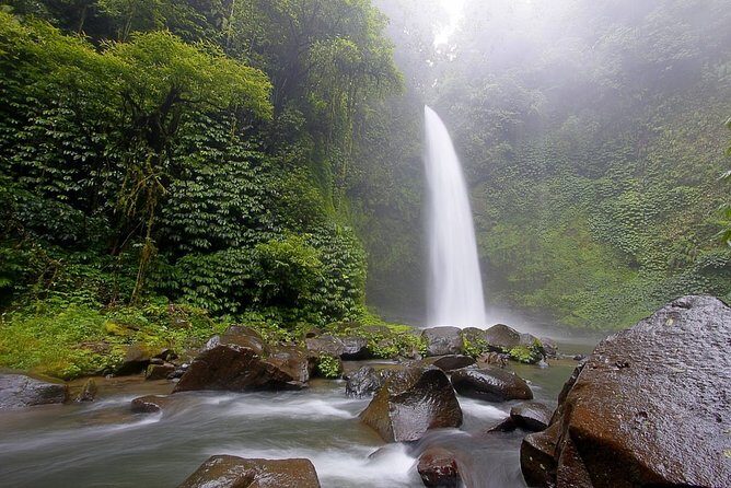 Unique Cleansing Ceremony with Locals - Sangeh Monkey Forest: grey long-tailed macaques and a sanctuary vibe