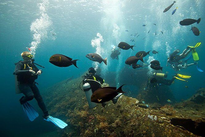 USS Liberty Shipwreck Scuba Diving at Tulamben Bali - The 8:00am to 10-hour format: what your day actually looks like