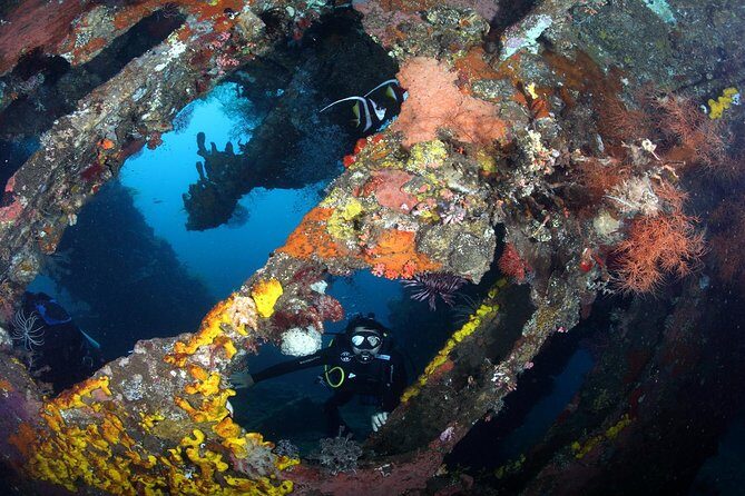 USS Liberty Shipwreck Scuba Diving at Tulamben Bali - Price and value: what $109.50 really covers