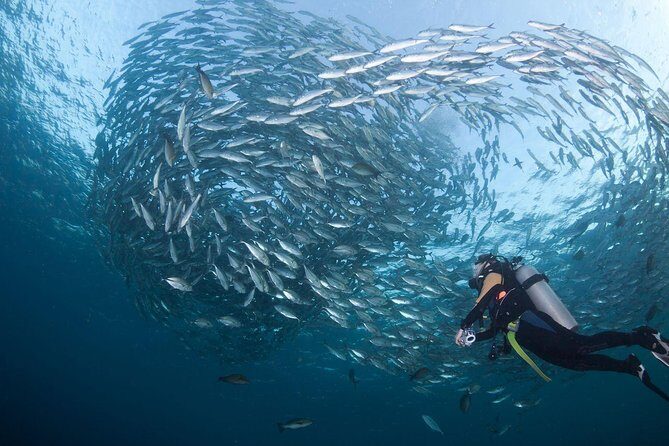 USS Liberty Shipwreck Scuba Diving at Tulamben Bali - Where this trip shines (and where it might not)
