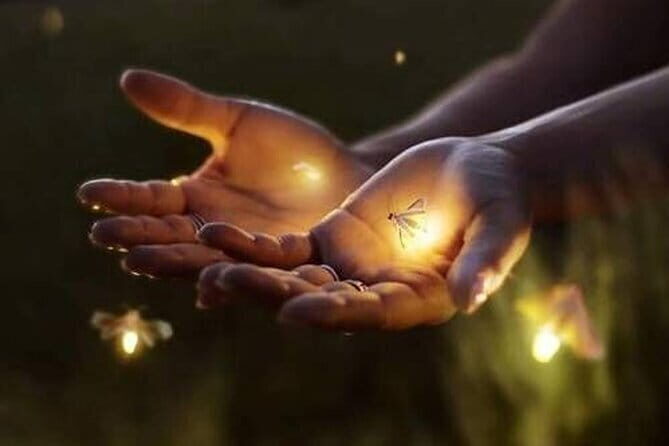 VIllage Firefly Night Tour - Ubud Bali - Key highlights at a glance
